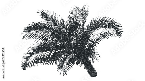 Palm frond textured silhouette. Vector hand drawn illustration