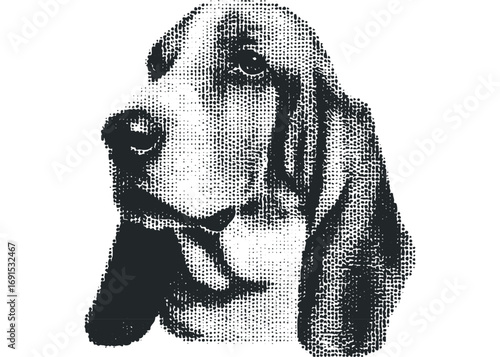Halftone portrait of a Basset Hound dog head on transparent background. Vector hand drawn illustration
