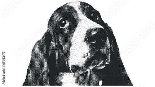 Basset Hound Dog Face Halftone Dot Texture Portrait. Vector hand drawn illustration