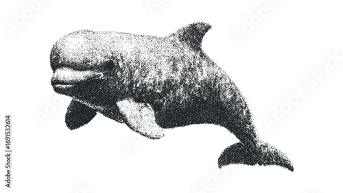 Textured dolphin leaping in water with stipple technique. Vector hand drawn illustration