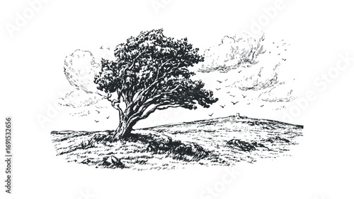 Lone windswept tree on grassy hill with birds flying overhead. Vector hand drawn illustration