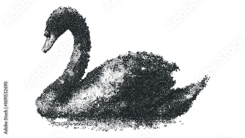 Black swan floating on water with textured effect. Vector hand drawn illustration