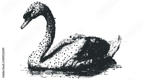 Etched swan shape on transparent. Vector hand drawn illustration