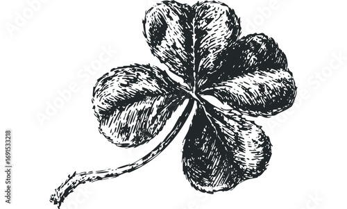 Pencil sketch of a lucky clover leaf on a transparent background,. Vector hand drawn illustration