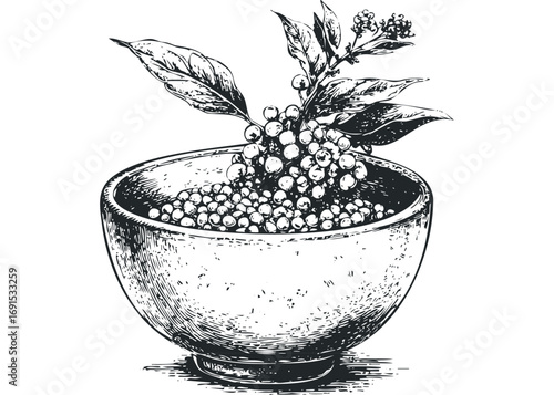 Line drawing of peppercorns with leaves in a bowl. Vector hand drawn illustration