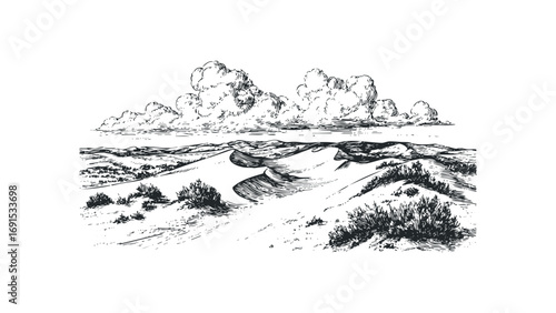 Pencil sketch of rolling sand dunes with sparse vegetation and dramatic clouds. Vector hand drawn illustration