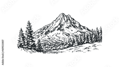Pencil sketch of a snow-capped mountain peak surrounded by pine trees on a hill. Vector hand drawn illustration