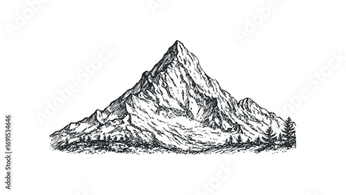 Pencil sketch of a majestic snow capped mountain with evergreen trees. Vector hand drawn illustration
