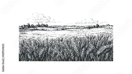 Pen and ink landscape with wheat field and village. Vector hand drawn illustration