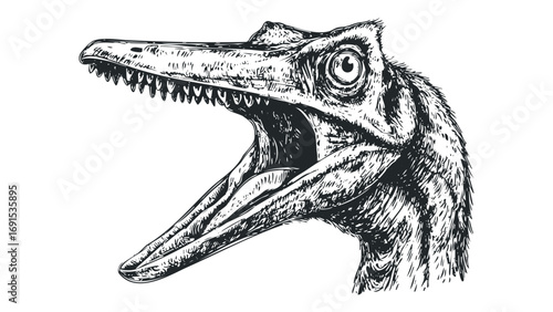 Dinosaur head sketch with open mouth and sharp teeth. Vector hand drawn illustration