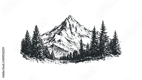 Sketchy Mountain Peak and Pine Forest Landscape on Transparent. Vector hand drawn illustration