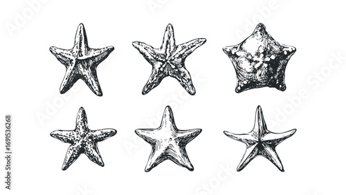 Six diverse starfish drawn in black ink on a transparent. Vector hand drawn illustration