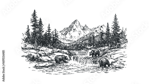 Three grizzly bears fishing in a mountain stream with pine trees and jagged peaks. Vector hand drawn illustration