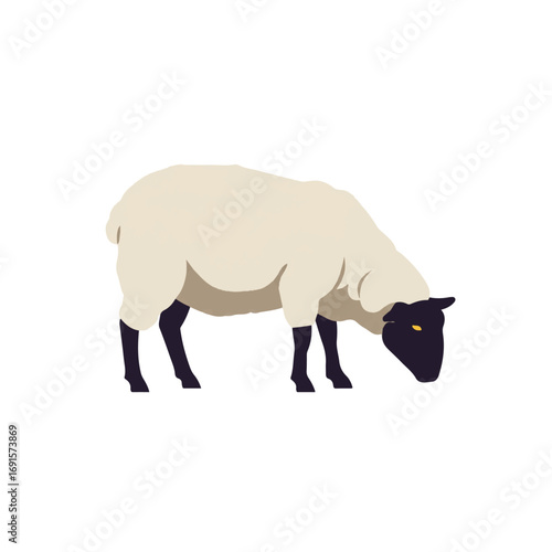 Gentle sheep grazing peacefully, depicted in a charming 2D flat vector illustration with minimalist style and clean lines, isolated on a clean white background.