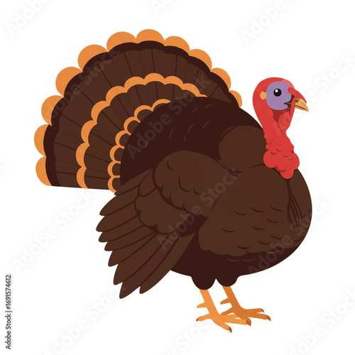 Vibrant 2D flat vector illustration of a plump turkey confidently strutting, depicted with minimalist clean lines and solid colors, isolated on a bright white background.