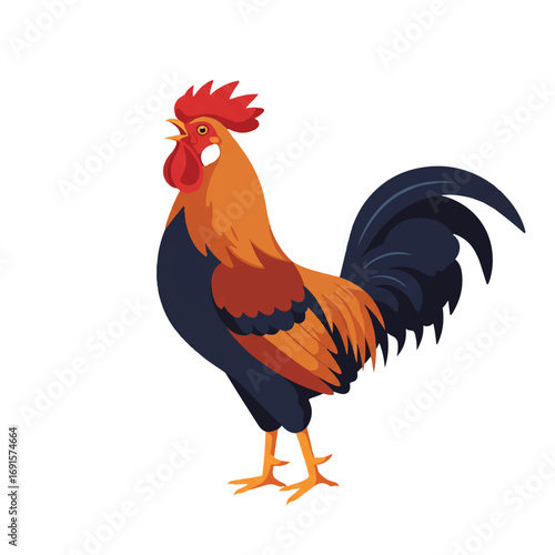A proud rooster with vibrant plumage is crowing joyfully at sunrise, depicted in a minimalist 2D flat vector illustration style with clean lines and solid colors, isolated on white.