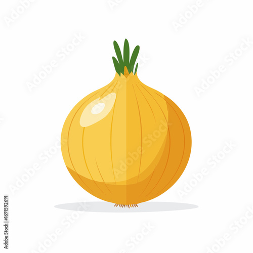 Vector illustration of onion, round shape, light brown skin, clean flat design, isolated