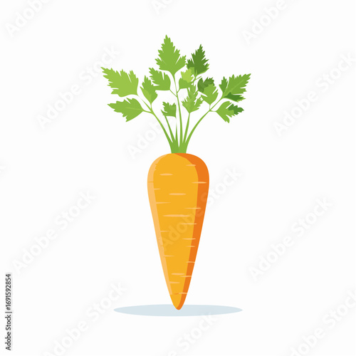 Vector illustration of a fresh carrot with green leaves, flat style, isolated on white background, clean minimal design
