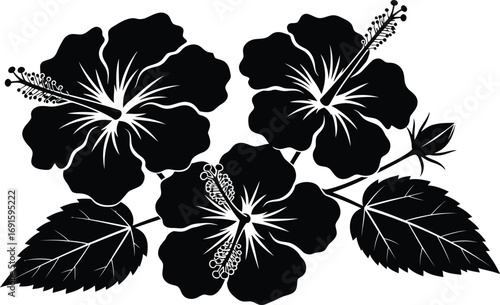 Elegant black hibiscus flowers and leaves create a stunning tropical design for your creative projects