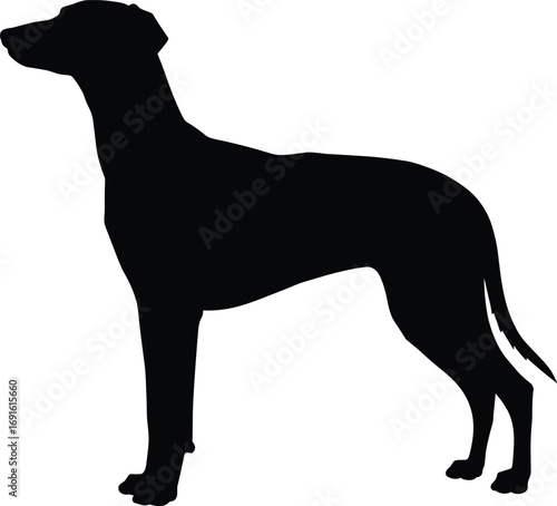 Black silhouette dog standing vector illustration, domestic pet animal design, canine artwork, loyal companion shape, graphic artwork, animal outline, decorative pet figure
