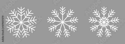 snowflake icon set isolated vector illustration. snowflake icon on isolated background.