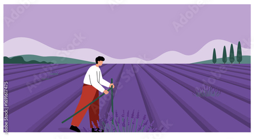 Man working in a beautiful lavender field under a serene sky. Captures the essence of rural life, agriculture, and fragrant landscapes.