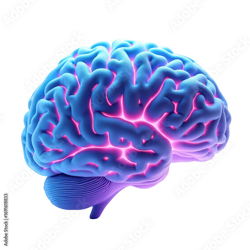 A vibrant, 3d illustration of a human brain, highlighted with luminous, pinkish-purple accents, showcases the intricate folds and textures of the neural structure against a stark black background.
