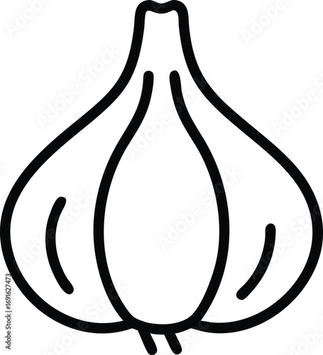 Simple line art illustration of fresh garlic bulb isolated on white