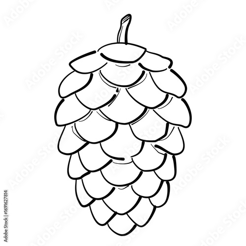 Pine cone Line Art Clipart Hand Drawn Black and White Leaf Outline Illustration Fall Foliage Transparent Background for Stickers Journals Scrapbooking Craft printable