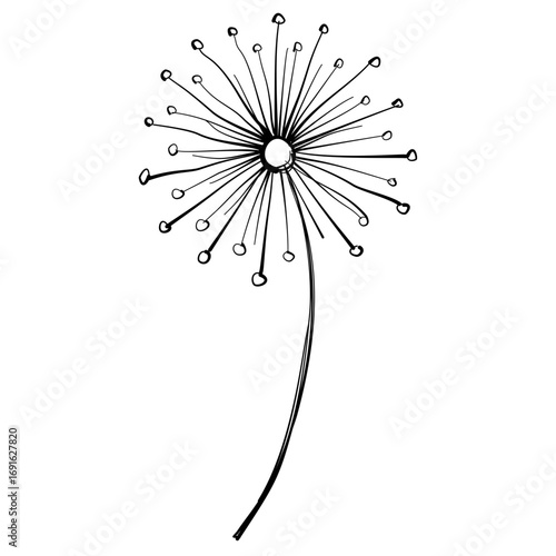 Dandelion line Art Clipart Hand Drawn Black and White Leaf Outline Illustration Fall Foliage Transparent Background for Stickers Journals Scrapbooking Craft printable