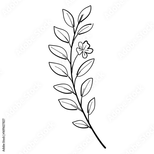 Autumn Leaf Line Art Clipart Hand Drawn Black and White Leaf Outline Illustration Fall Foliage Transparent Background for Stickers Coloring Pages Journals Scrapbooking Craft Printables