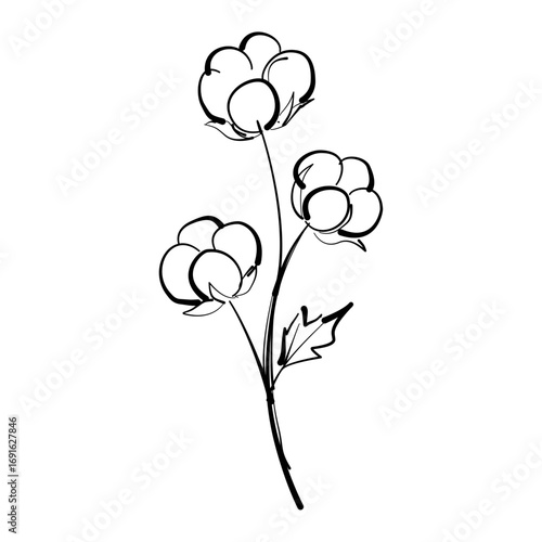 Cotton branch Autumn Leaf Line Art Clipart Hand Drawn Black and White Leaf Outline Illustration Fall Foliage Transparent Background for Stickers Journals Scrapbooking Craft printable