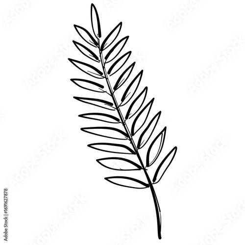 Fall single fern Line Art Clipart Hand Drawn Black and White Leaf Outline Illustration Fall Foliage Transparent Background for Stickers Journals Scrapbooking Craft printable