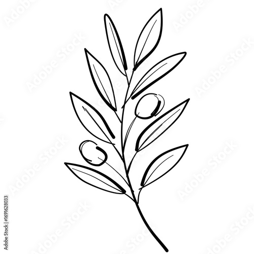 Olive leaf branch Autumn Leaf Line Art Clipart Hand Drawn Black and White Leaf Outline Illustration Fall Foliage Transparent Background for Stickers Journals Scrapbooking Craft printable