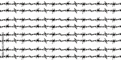 Seamless pattern of black barbed wire strands against a white background