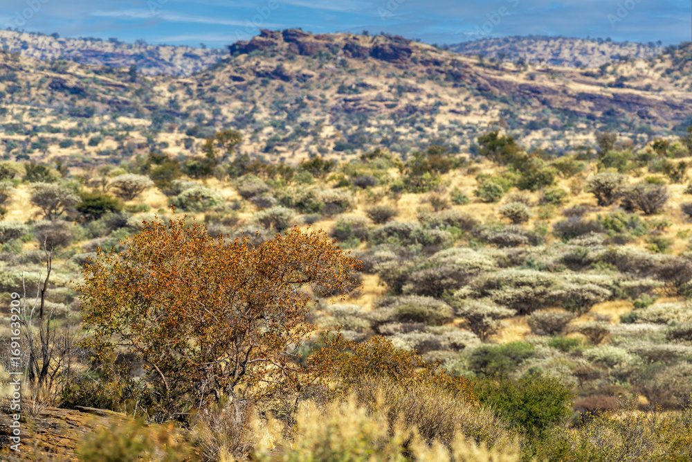 Fototapeta premium Paysage montagneux dans le centre de la Namibie