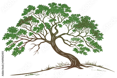 Stylized illustration of a curved tree with green leaves