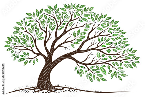 Stylized illustration of a broad tree with green leaves
