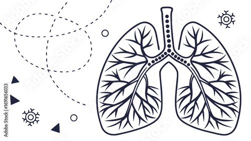 Detailed illustration of human lungs with branching airways and surrounding elements.