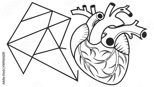 Geometric Heart and Anatomical Heart Illustration - A Fusion of Art and Science.
