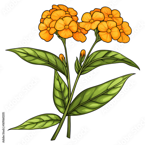 Vibrant Orange Blossoms with Lush Green Leaves, Perfect for Nature-Themed Art and Floral Design Projects, isolated on transparent background.