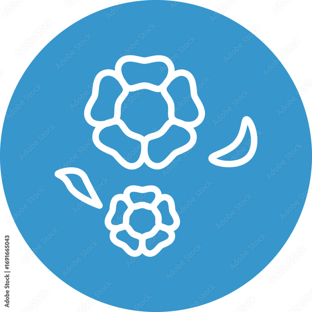 Obraz premium Sakura Vector Line White Circles Multicolors