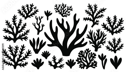 Coral Silhouette Vector Seaweed Decorative Clipart Set