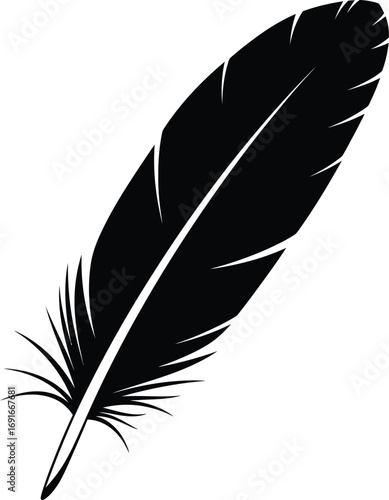 Elegant black feather silhouette symbolizing lightness grace and freedom artistic detail silhouette
