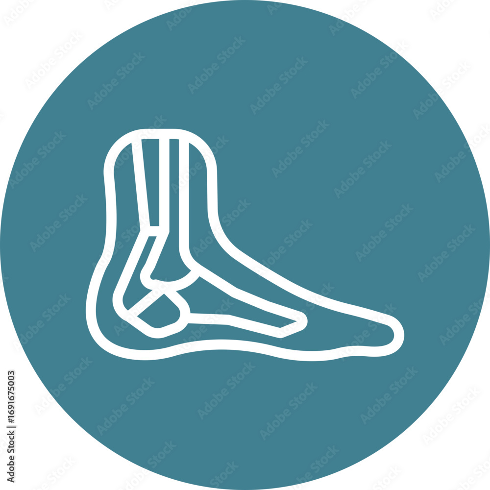 Obraz premium Achilles tendon Vector Line White Circles Multicolors