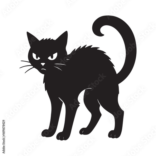 black cat vector illustration on white background