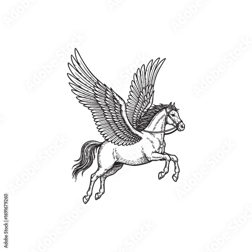 flying pegasus engraving woodcut vector illustration 