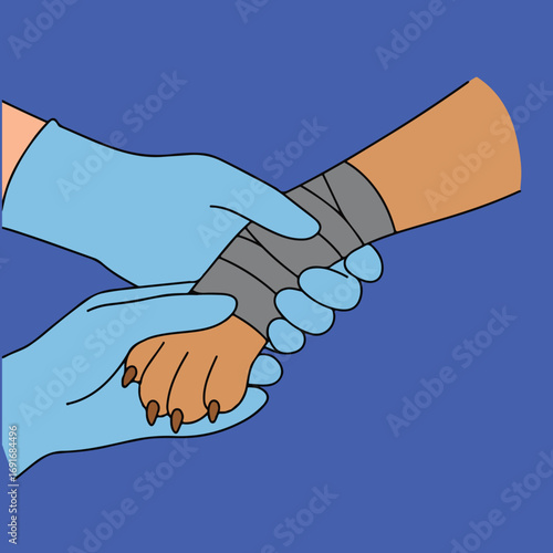 An illustration depicts a tan animal leg wrapped in gray, being held by two light blue gloved hands against a solid dark blue background.