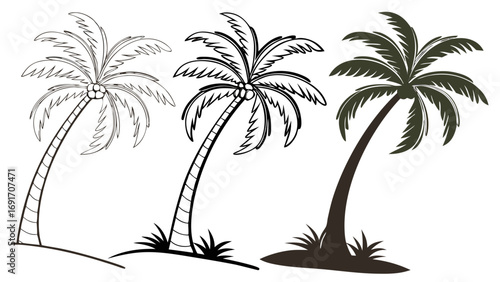 Three palm trees with outlines and solid fill tropical