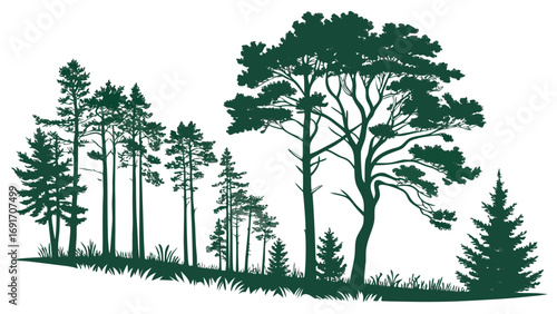 Pine forest silhouette with grass trees nature